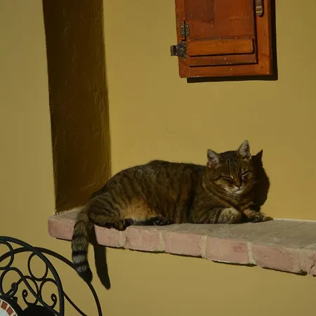 Podere Campiano Affittacamere
