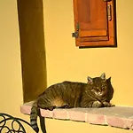 Podere Campiano 3*
