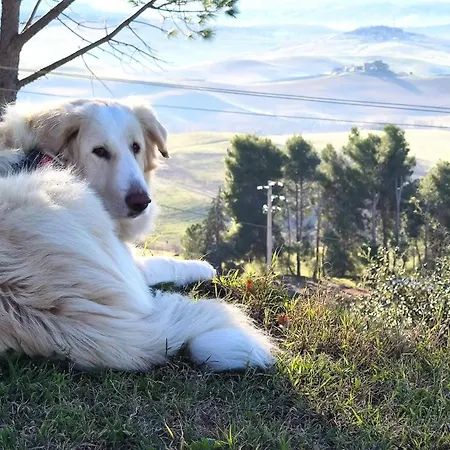 Konukevi Podere Campiano Volterra
