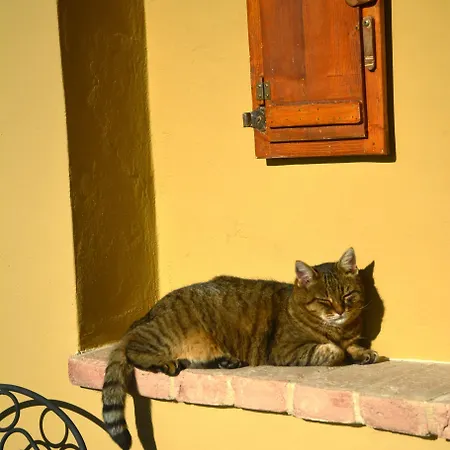 Podere Campiano 3*